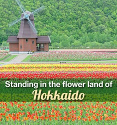 Standing in the flower land of Hokkaido